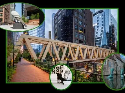 همزیستی ۸ میلیون نیویورکی با ۹ میلیون کبوتر+فیلم و عکس