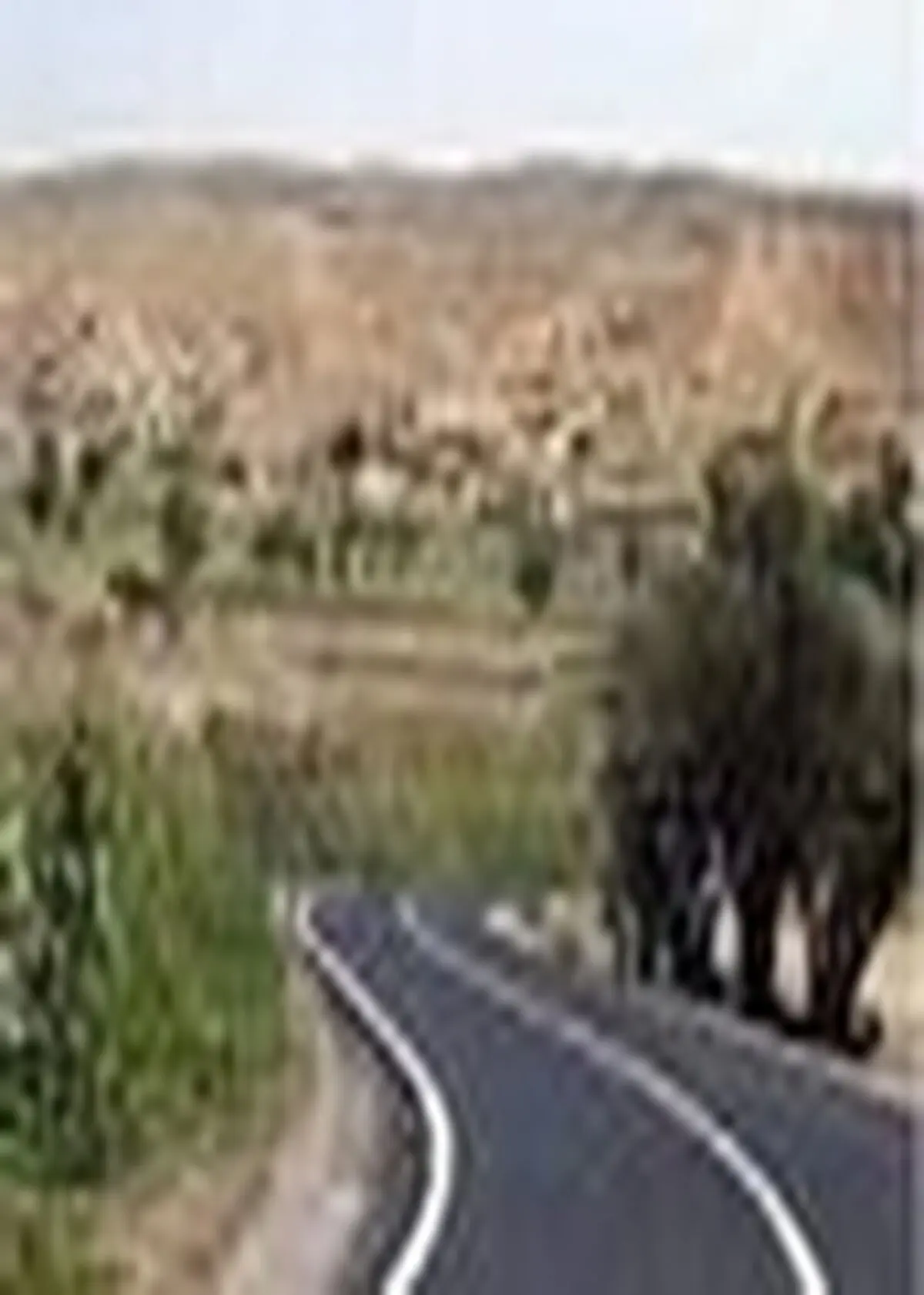 آسفالت ۴۰ کیلومتر از راه روستایی بابلسر