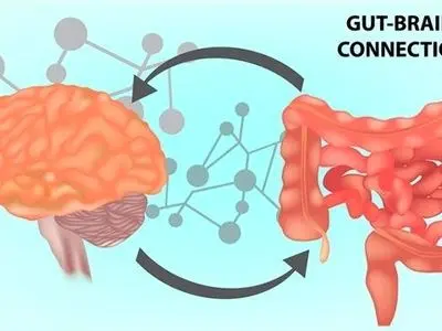 بهترین تغذیه برای سلامت روده در روزهای پراسترس