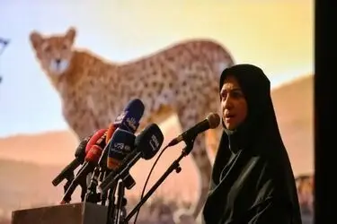 یوزپلنگ آسیایی نمادی از مسئولیت‌پذیری انسان‌ها در قبال طبیعت / ضرورت حفاظت پایدار از این گونه ارزشمند حیات‌وحش