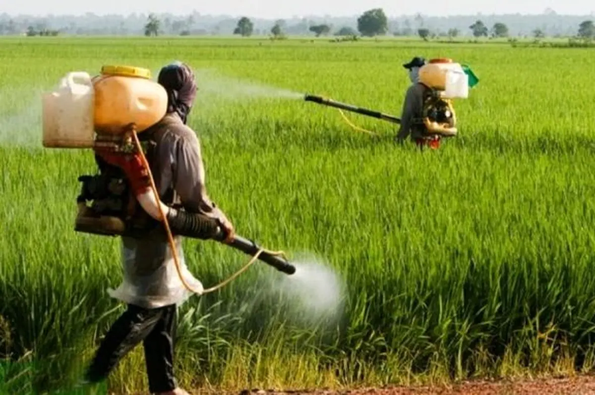 مصرف سموم پرخطر کاهش یافت