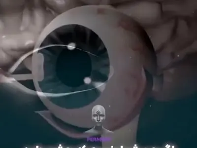 asdasd