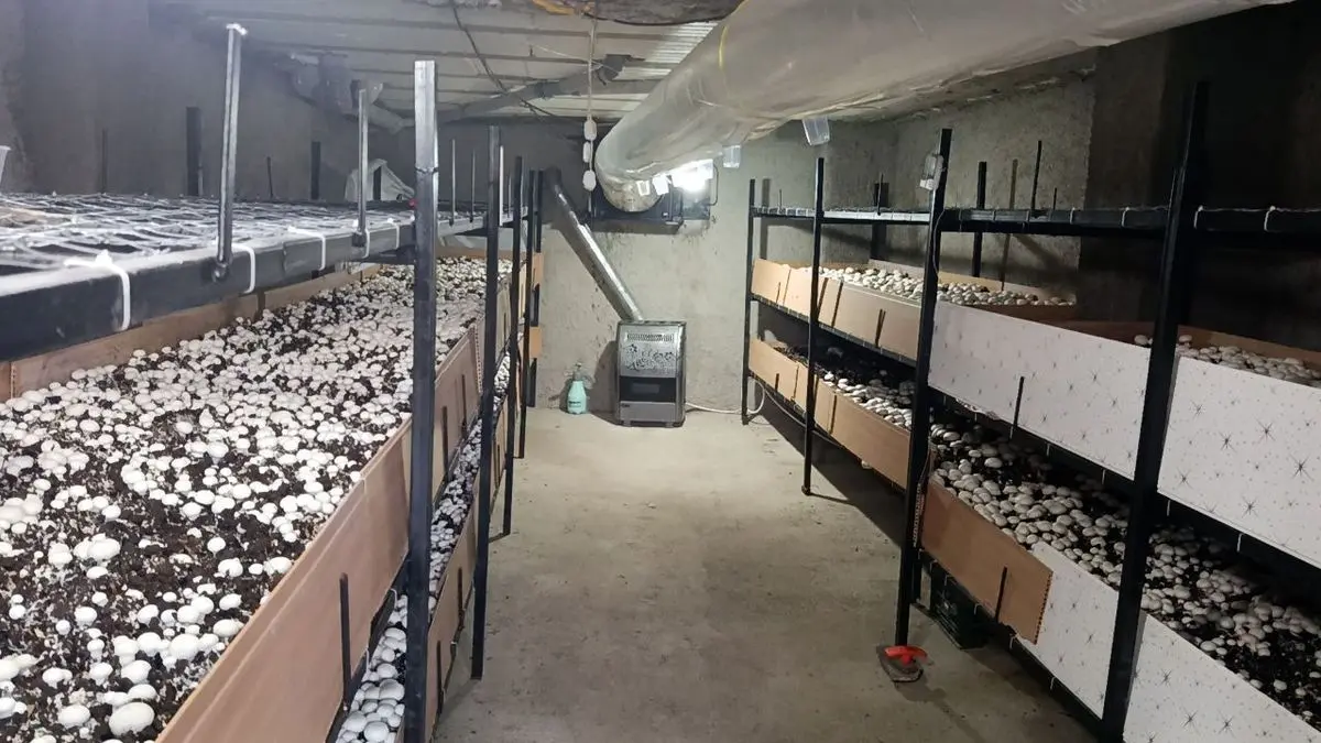 بیش از ۷ هزار میلیارد تومان پروژه بخش خصوصی در گیلان افتتاح می‌شود