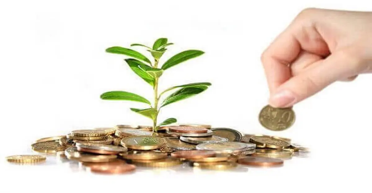 هرمزگان؛ حائز رتبه نخست در جذب منابع پرداختی