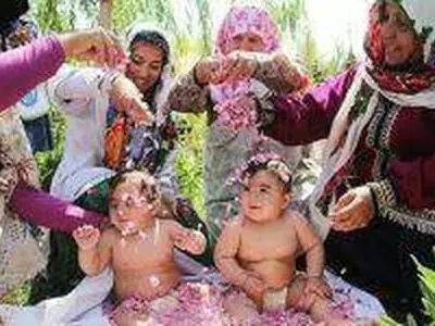 چهاردهمین جشنواره گل غلتان امیریه در دامغان برگزار می‌شود