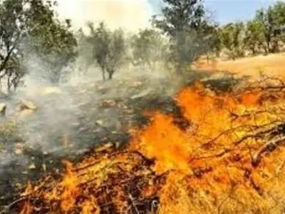 آتش سوزی در ارتفاعات شهرستان گیلانغرب