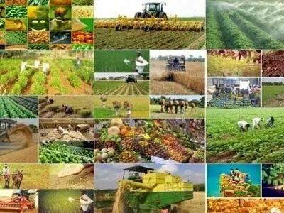 اختصاص اعتبارات تسهیلاتی و بلاعوض به کشاورزان خراسان شمالی