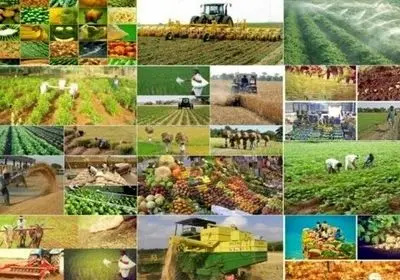 اختصاص اعتبارات تسهیلاتی و بلاعوض به کشاورزان خراسان شمالی