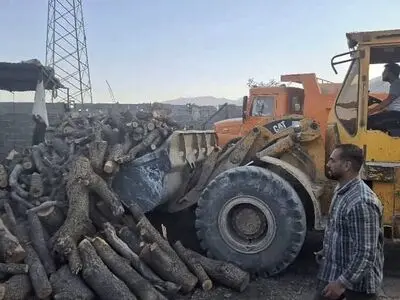 ۲۵ تن هیزم و ۱۱ تن زغال از قاچاقچیان چوب کشف شد