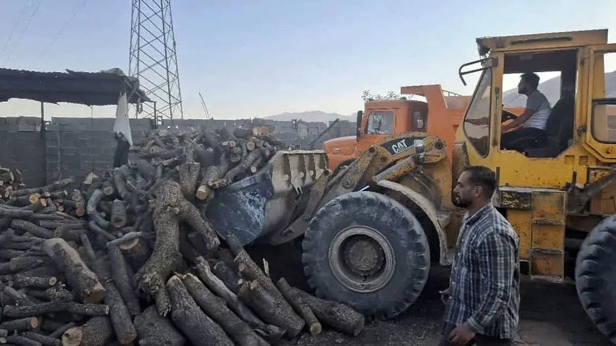 ۲۵ تن هیزم و ۱۱ تن زغال از قاچاقچیان چوب کشف شد