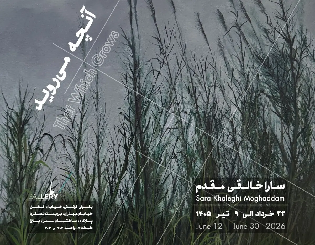 نمایشگاه «آنچه روییدنی است» برپا می‌شود/وفادار به بی‌نظمی جهان
