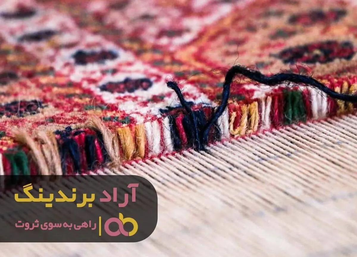 فرش ثروت را در خانه ام پهن کردم