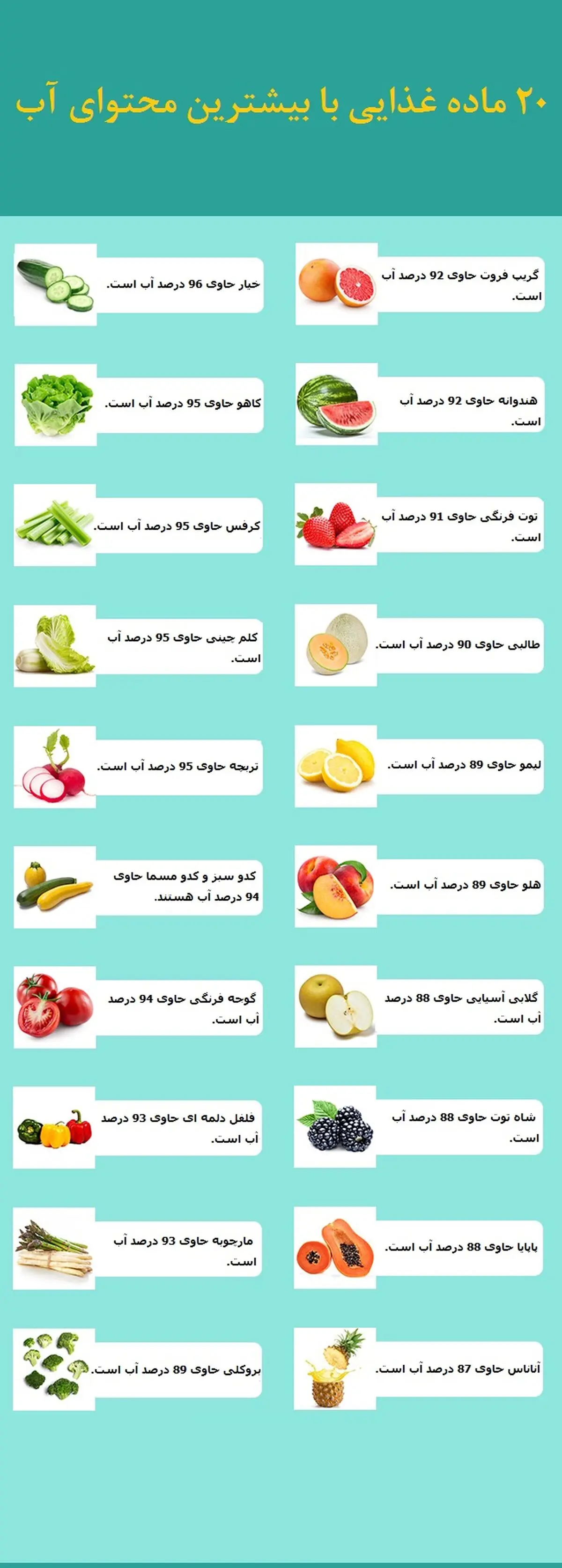 غذاهایی از جنس آب!/ اینفوگرافی