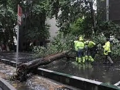 سازمان هواشناسی در پیشبینی طوفان قصور کرده است