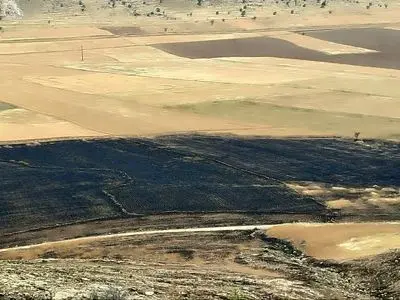 مهار آتش در مزارع گندم کازرون/ به ۲۰ هکتار زمین کشاورزی آسیب وارد شد