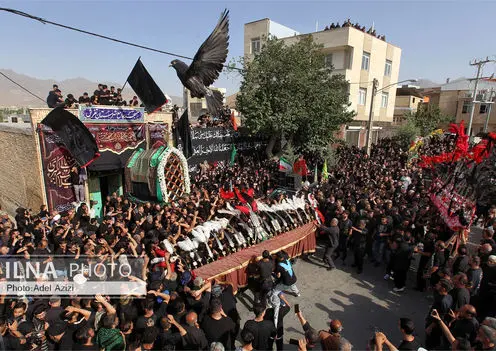 مراسم کهن نخل گردانی تفرش در عصر عاشورا