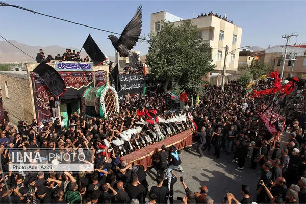 مراسم کهن نخل گردانی تفرش در عصر عاشورا