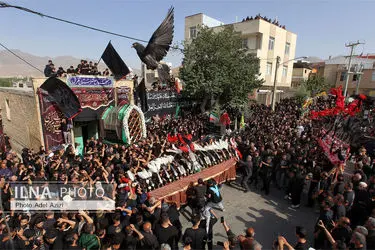 مراسم کهن نخل گردانی تفرش در عصر عاشورا