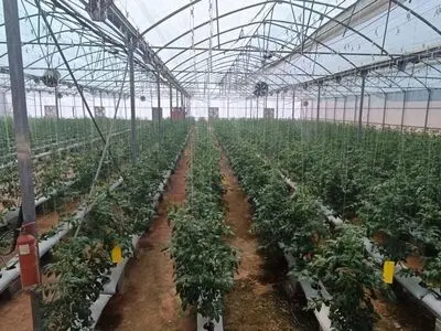 آمادگی شهرک گلخانه‌ای شهرستان خنداب برای واگذاری به سرمایه‌گذار