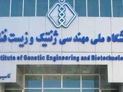 کسب رتبه اول همکاری‌های علمی بین المللی توسط پژوهشگاه ملی مهندسی ژنتیک و زیست‌فناوری