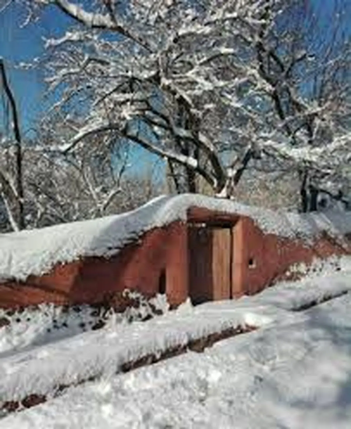 ذوق‌زدگی دوست داشتنی پیرزن ابیانه‌ای پس از دیدن حجم برف در روستایشان + فیلم