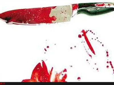 خشونت علیه زنان مقدمه‌ای بر شوهرکشی/مراودات مالی میان بستگان احتمال قتل را افزایش می‌دهد