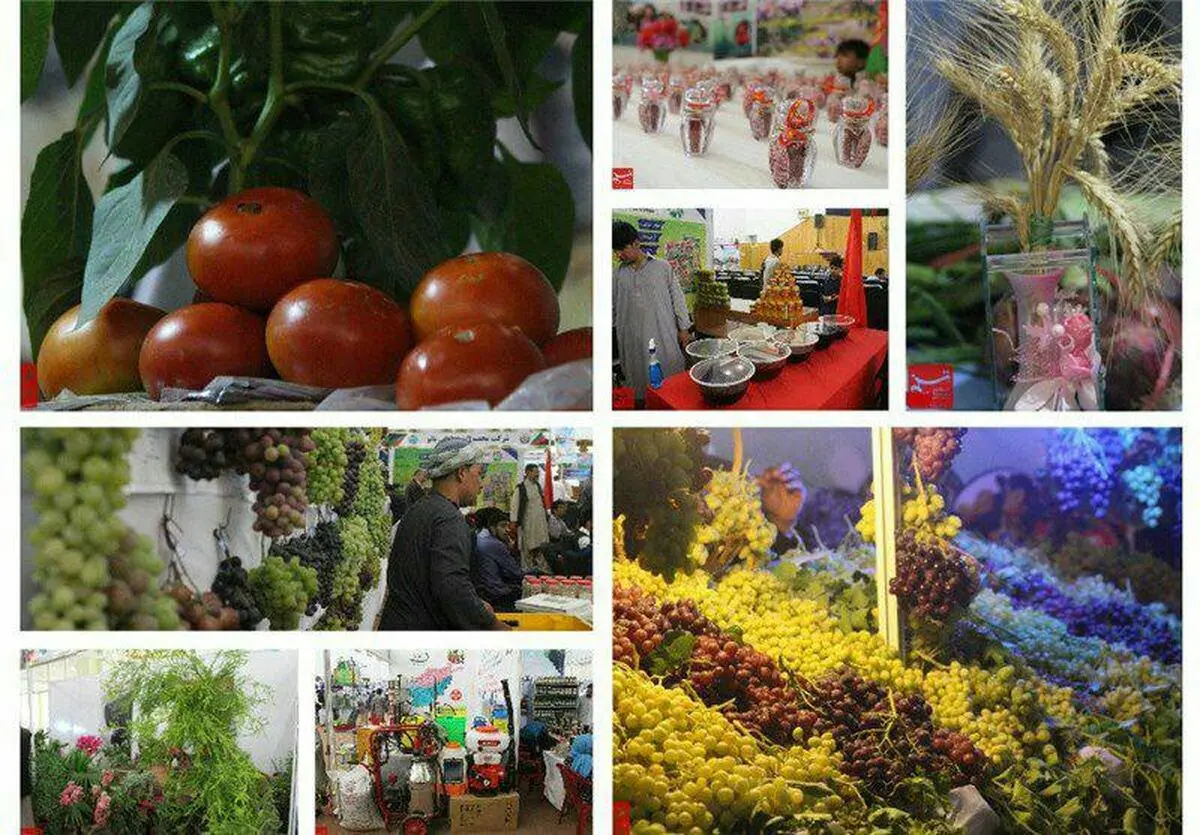 عراق واردات ۱۷ محصول کشاورزی ایران را ممنوع کرد