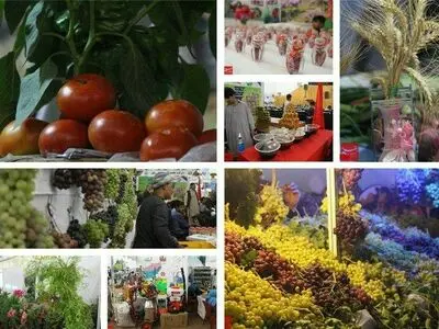 تورم تولیدکننده 14 درصدی در زارعت، باغداری و دامداری سنتی