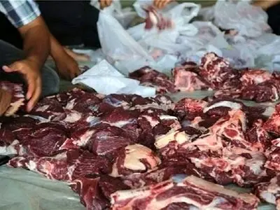 ۱۲۳ میلیارد تومان در پویش اطعام علوی و نذرقربانی در گلستان جمع آوری شد
