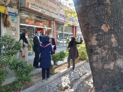 انجام تحقیقات علمی برای حفاظت از درختان چنار خیابان ولی عصر (عج) 