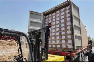 آزادسازی محموله دارویی کشتی توسکا پس از ۳ ماه/ نیاز ۴۴ هزار بیمار دیالیزی برطرف می‌شود