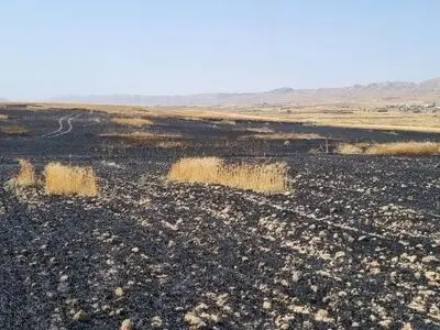 سوختن ۶۰ هکتار از مزارع گندم و جو درشهرستان گیلانغرب