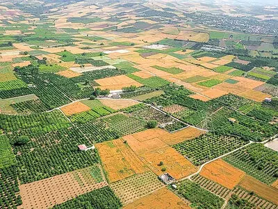 75 درصد از اراضی کشاورزی کشور رفع تداخل شده است