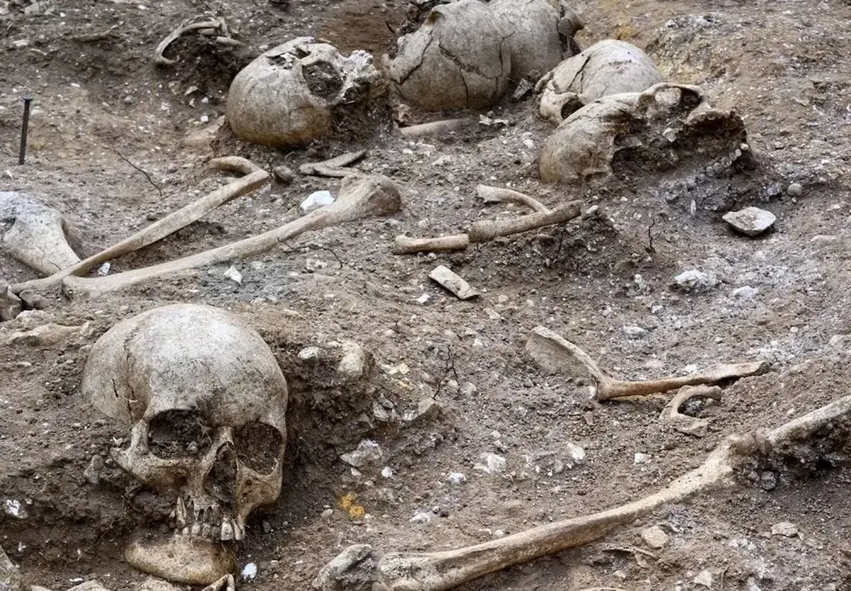 گودال ترسناک پر از اسکلت در یک مزرعه