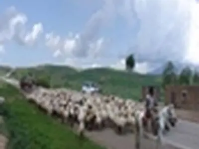 کوچ عشایر آذربایجان‌شرقی به قشلاق آغاز شد