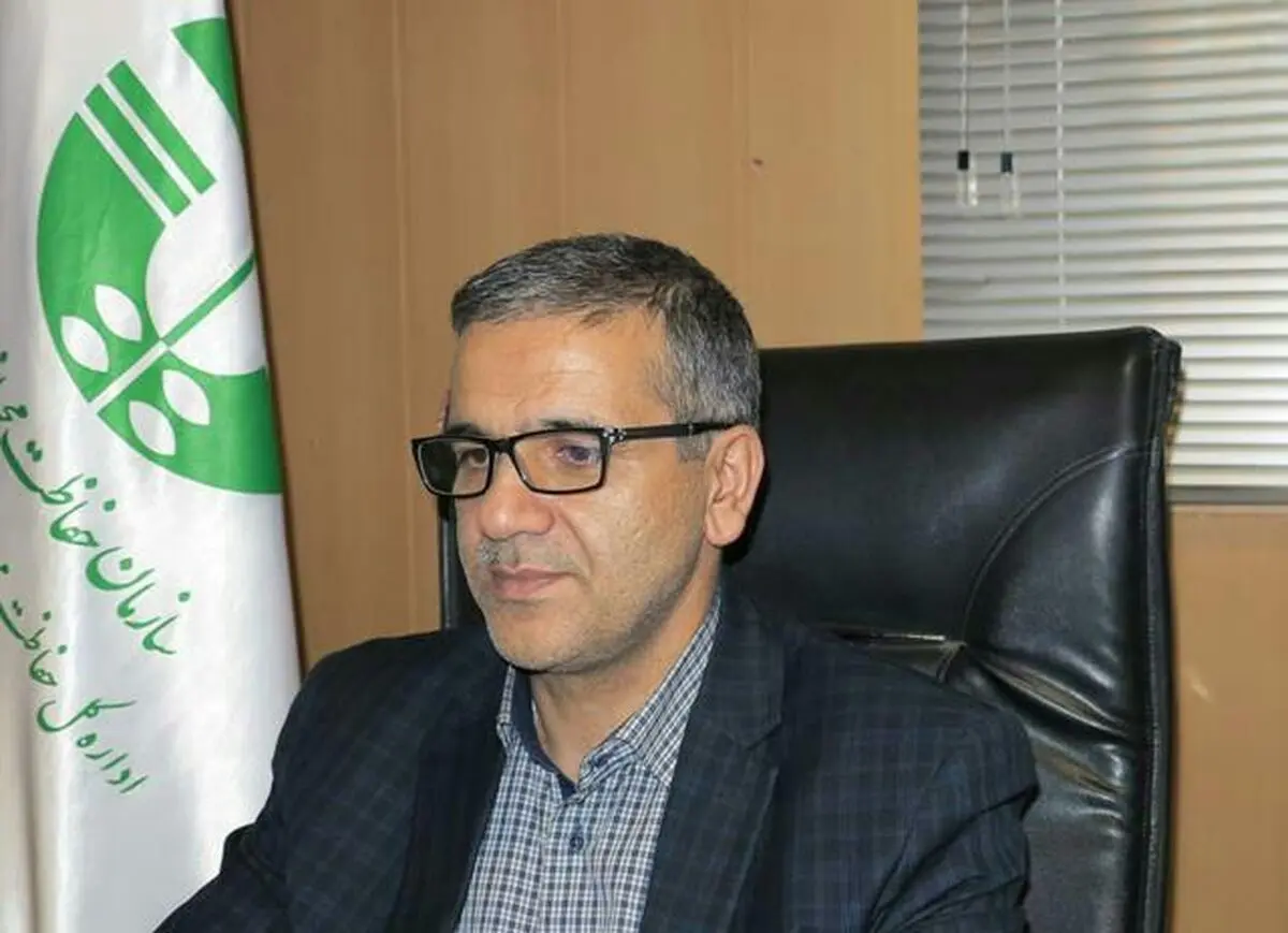 حرکت در مسیر جامعه سبز؛ حرکت در مسیر توسعه است