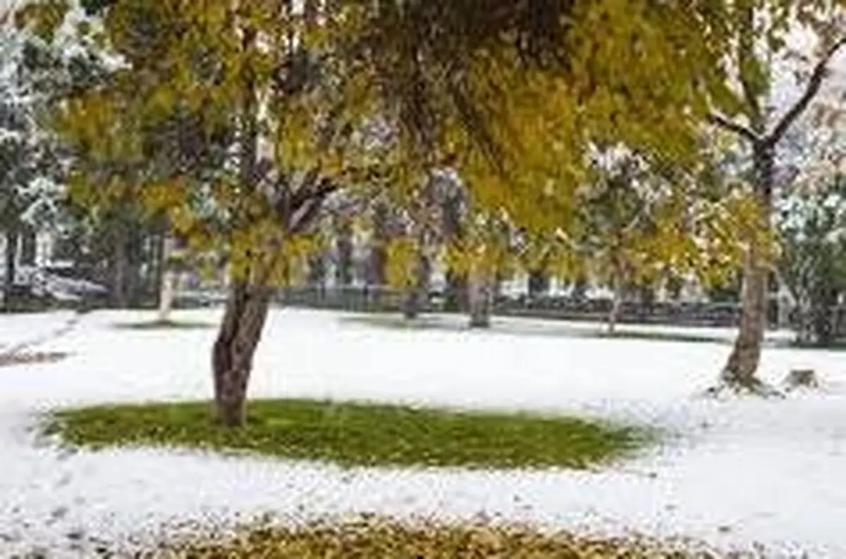 آذربایجان‌غربی با برف به استقبال پاییز رفت