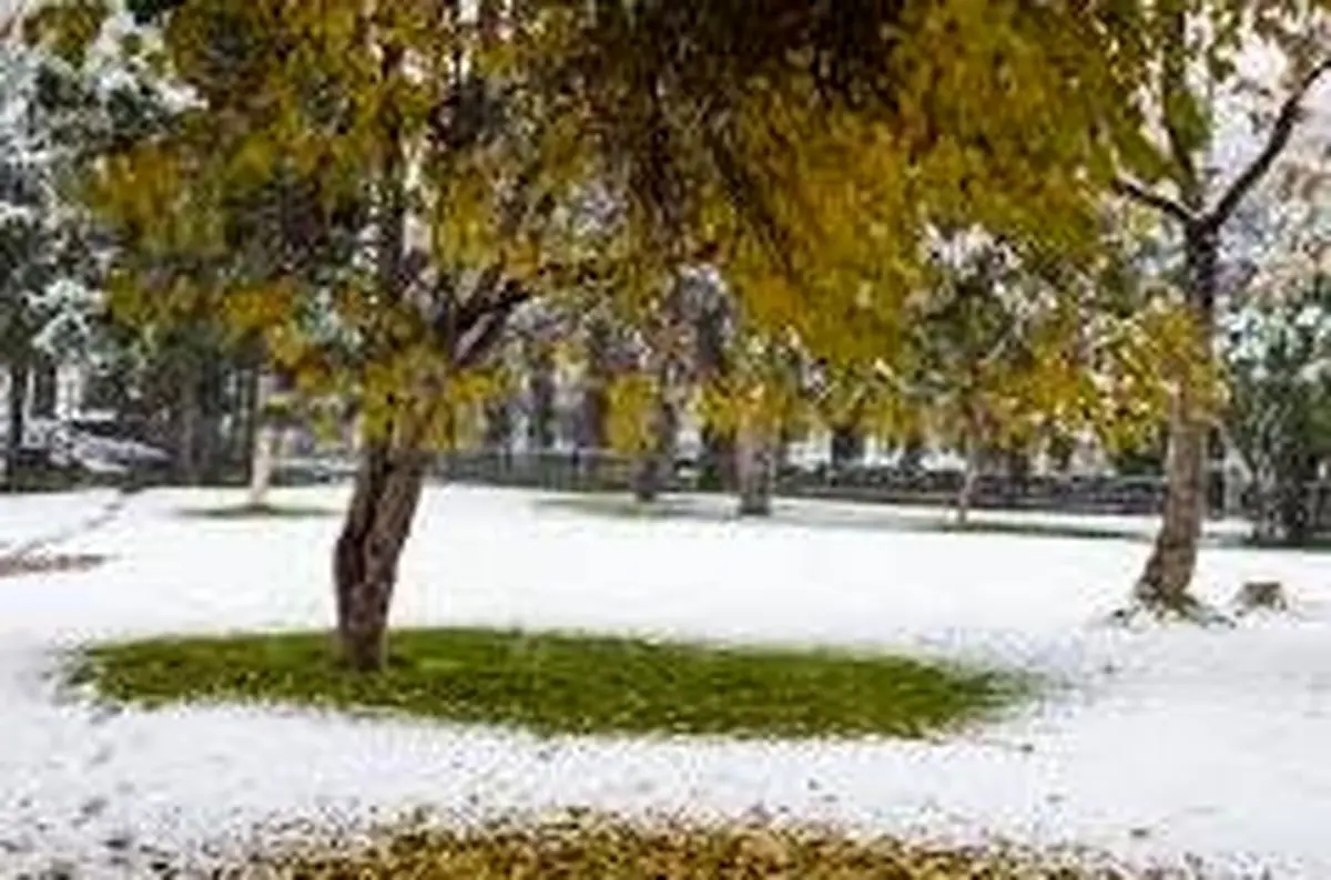 آذربایجانغربی با برف به استقبال پاییز رفت