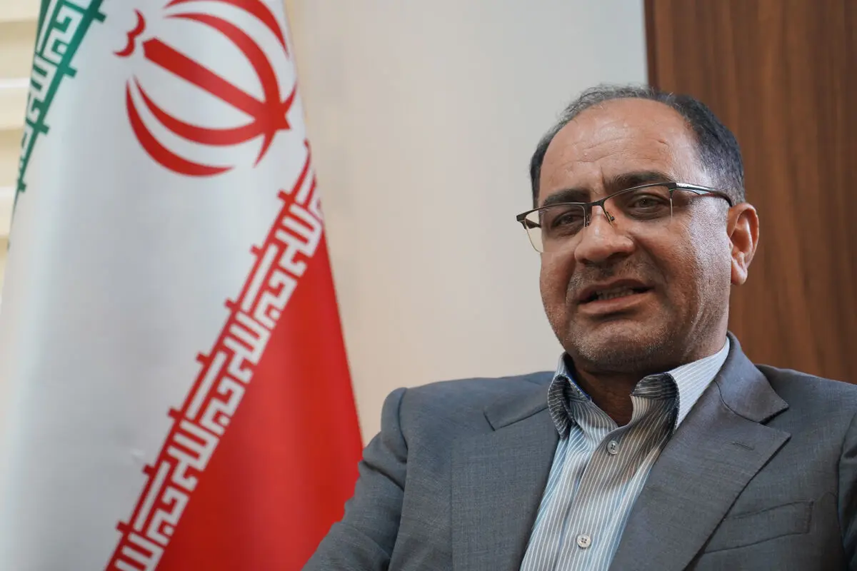 دولت و مجلس در فعالیت هلدینگ‌ها دخالت نکنند
