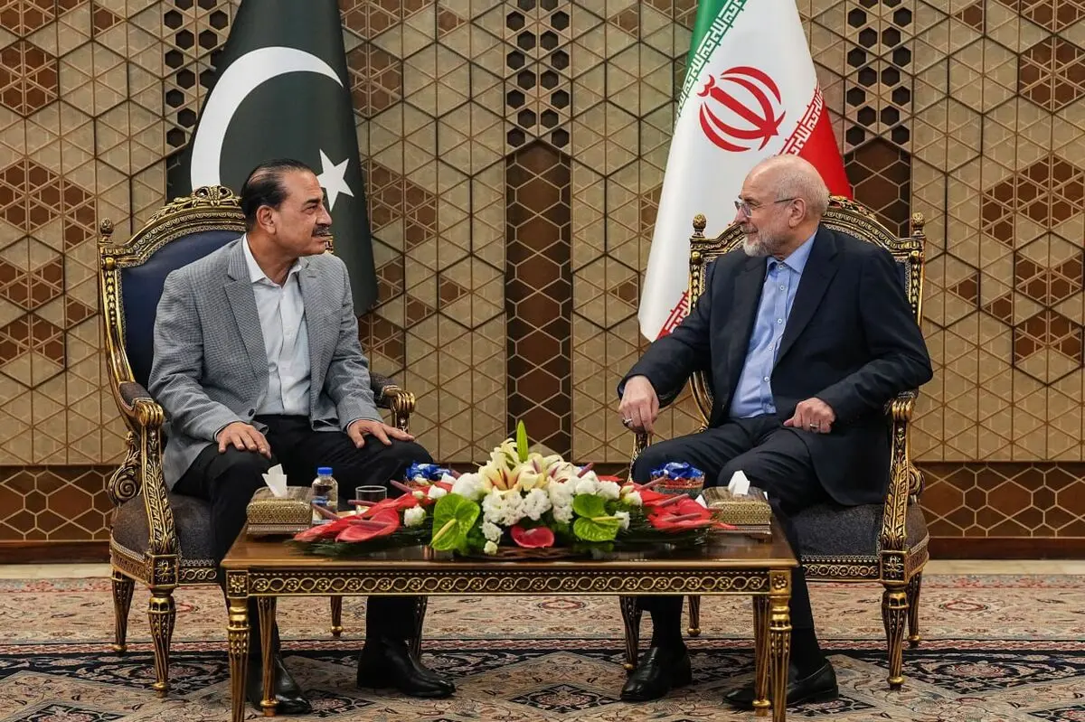 دیدار فرمانده ارتش پاکستان با رئیس مجلس شورای اسلامی 
