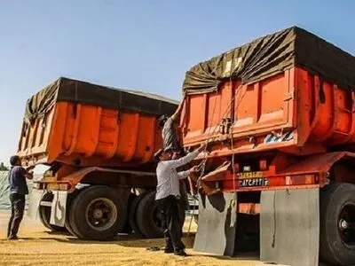 محصولات کشاورزی گلستان توسط بیش از ۱۲ هزار راننده جابه‌جا می‌شود