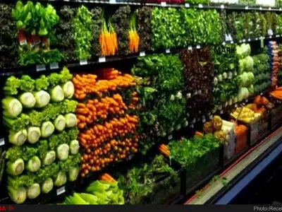 چطور با یه ظرف آب و نور کم، سبزیجات تازه در خانه رشد بدیم؟ + فیلم