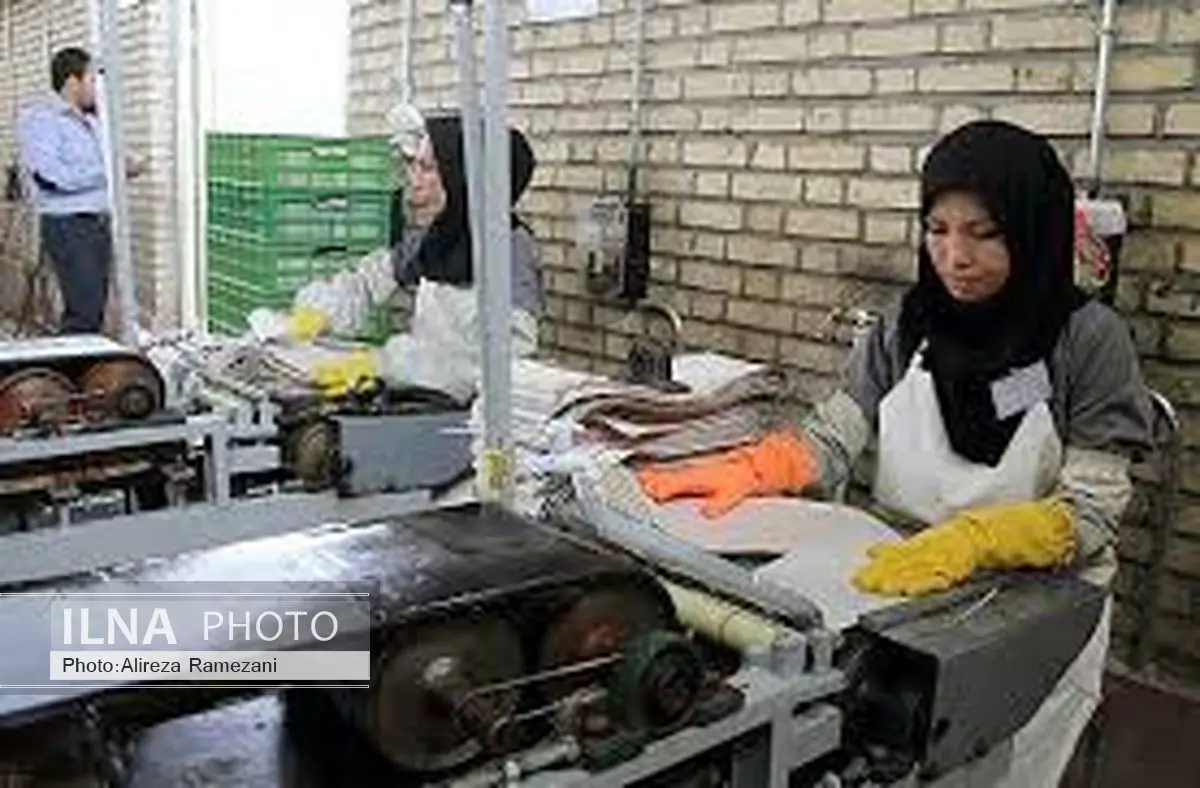 ضرورت تنقیح قوانین مرتبط با حمایت از حقوق زنان شاغل/زنان حضورشان را جدی بگیرند