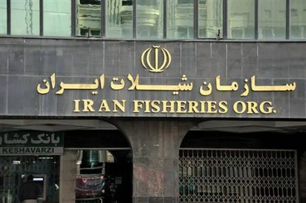 توضیحات سازمان شیلات درباره "صید غیرمجاز کوسه ماهیان" 