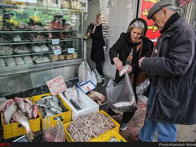 قیمت میگو و ماهی امروز ۲۸ مهر ۱۴۰۳ ‌/  کنسرو ماهی تن چند؟ 