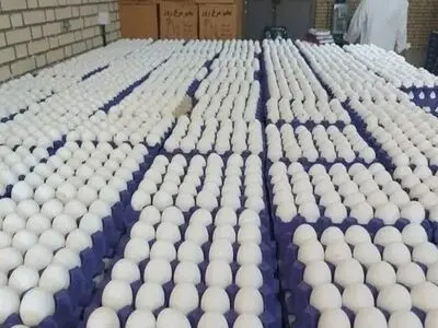 کشف ۳۷۸ تن تخم‌مرغ قاچاق به ارزش ۱۴۴ میلیارد ریال در شوش