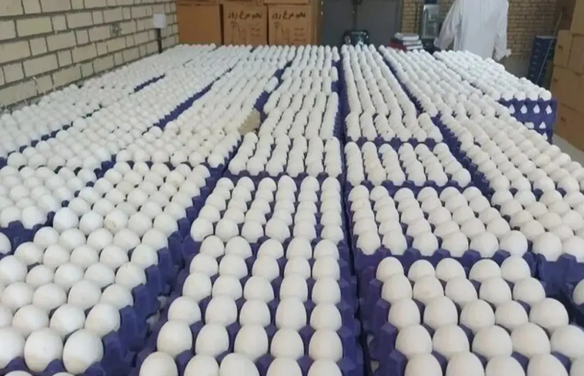 کشف ۳۷۸ تن تخم‌مرغ قاچاق به ارزش ۱۴۴ میلیارد ریال در شوش