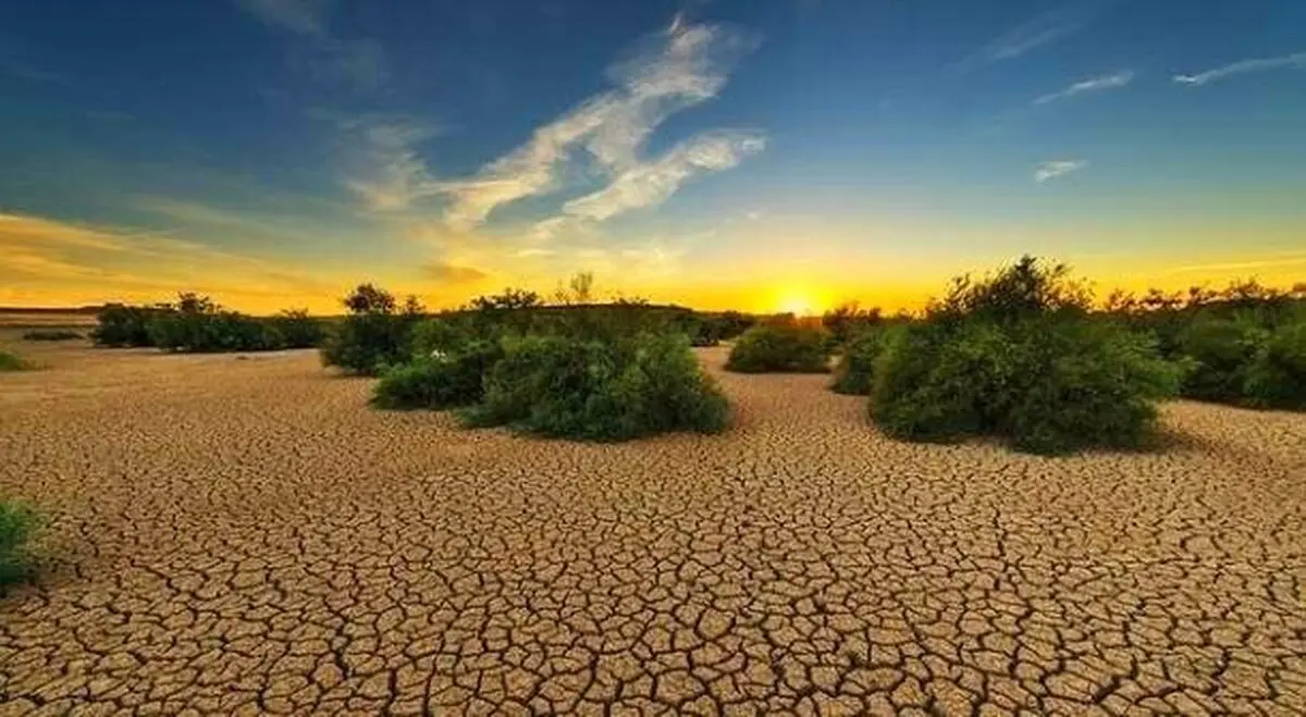 کردستان، دیاری پرآب که تشنه مانده است / خشکسالی؛ تهدیدی چند بُعدی برای زیست‌ بوم و معیشت مردم