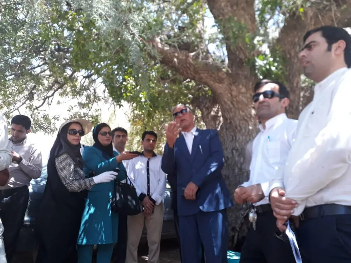 استخدام یکهزار نفر در بخش گردشگری کهگیلویه و بویراحمد/ افتتاح پنج پروژه گردشگری در هفته دولت