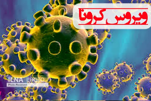 تکذیب خبر آزادی عیسی شریفی/ شناسایی دو جاسوس سیا در قالب بنیاد خیریه/ اعلام آمادگی فرانسه برای بازگشایی جعبه سیاه هواپیمای اوکراینی/ بازداشت ۵ نفر در پرونده روح‌الله زم